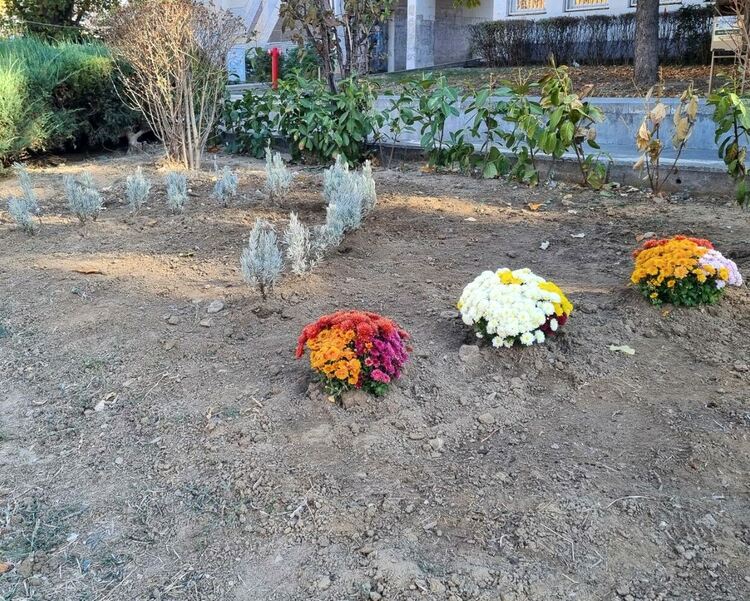 Освежиха с нови цветя зелените пространства в Асеновград 