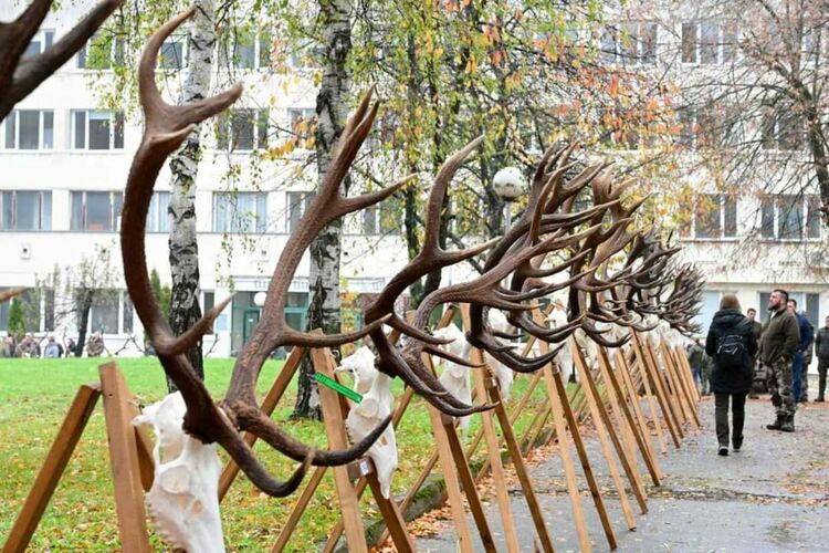 С 25 трофея от благороден елен ЮЦДП - Смолян участва в регионална изложба в Габрово