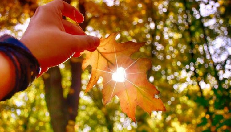 Слънчево време и в неделя