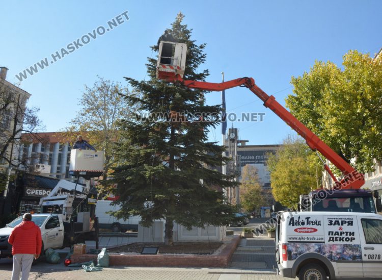 Вече украсяват елхата на площад „Свобода“ в Хасково
