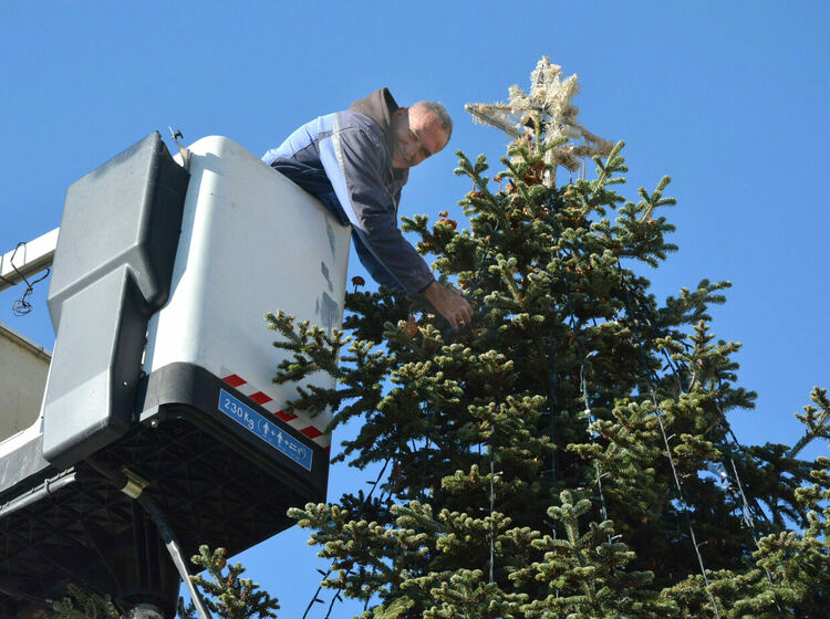 Вече украсяват елхата на площад „Свобода“ в Хасково