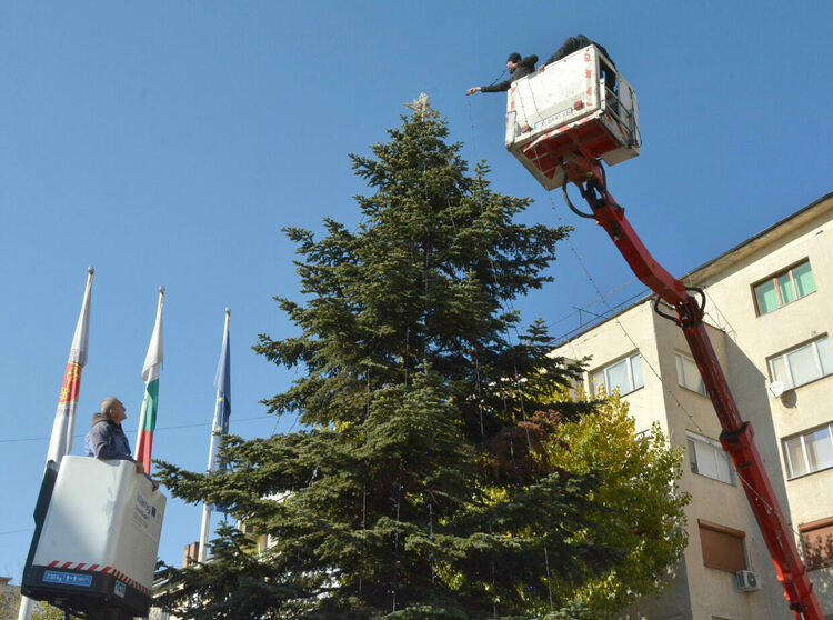 Вече украсяват елхата на площад „Свобода“ в Хасково
