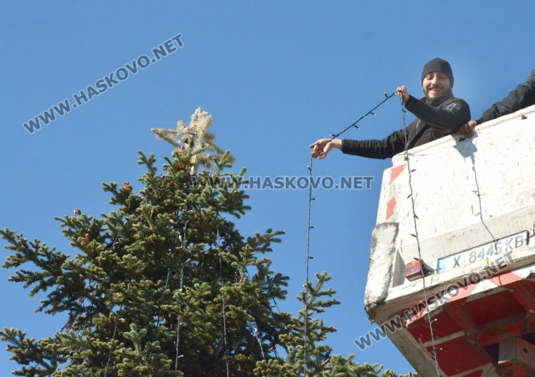 Вече украсяват елхата на площад „Свобода“ в Хасково