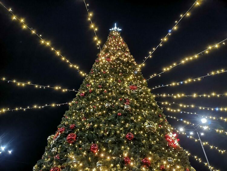 Светлините на коледната елха в Перник ще бъдат запалени на 6 декември