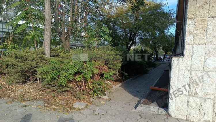 Времето се позатопли, жрици на любовта обслужват клиенти до входа на Театъра в Кърджали