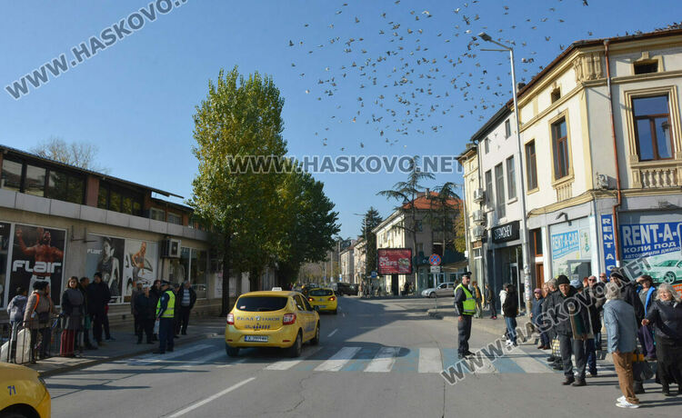 Над 150 таксита се включиха в протеста срещу по-скъпите застраховки в Хасково
