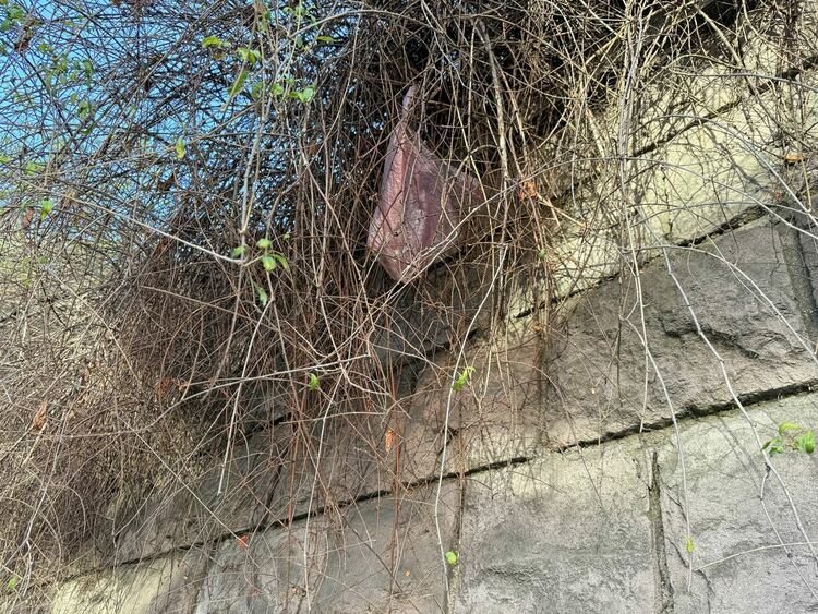 Изхвърлят боклуци в храстите над подпорната стена на бул. „Освобождение“ 