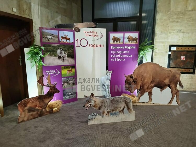 Фондация „По-диви Родопи“ представи резултатите от 10-годишната си дейност в Източните Родопи