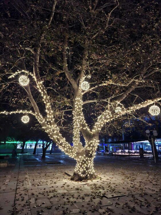 Първомай се готви за коледно-новогодишните празници