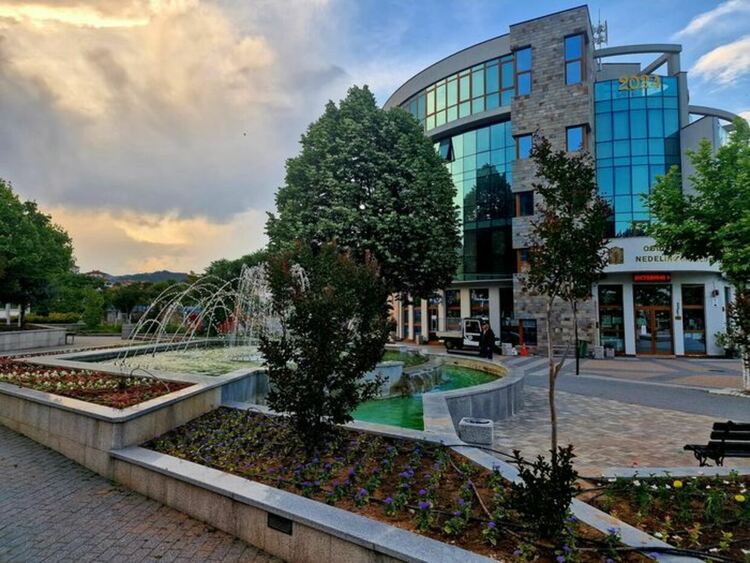 В Община Неделино няма никакви безстопанствени кучета показа проверка