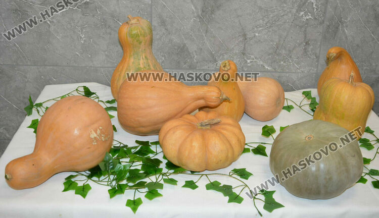 Ученици презентираха ястия от тиква за Деня на християнското семейство