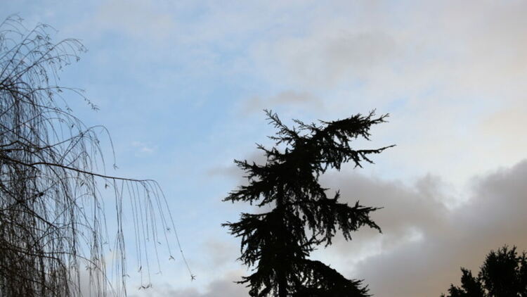 Източник: БГНЕС