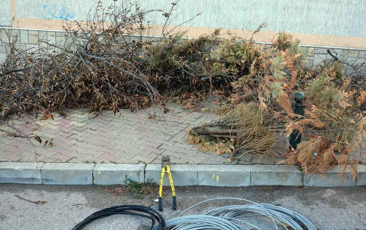 Вятърът в Хасково нанесе редица поражения