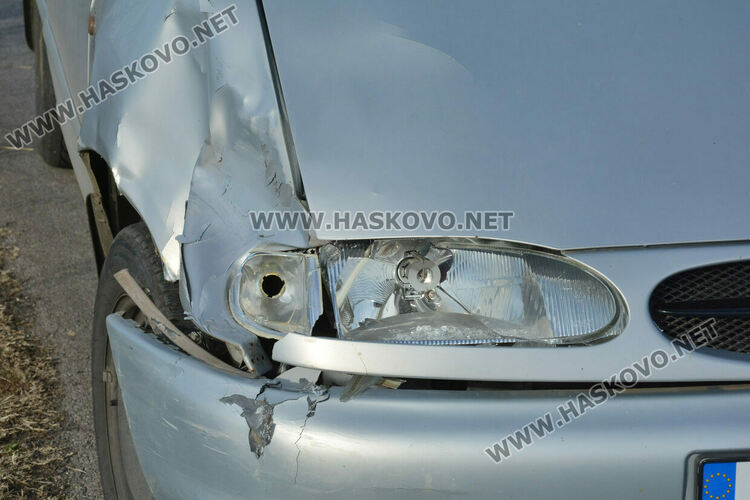 Водач блъсна и рани кон, изскочил на пътя 