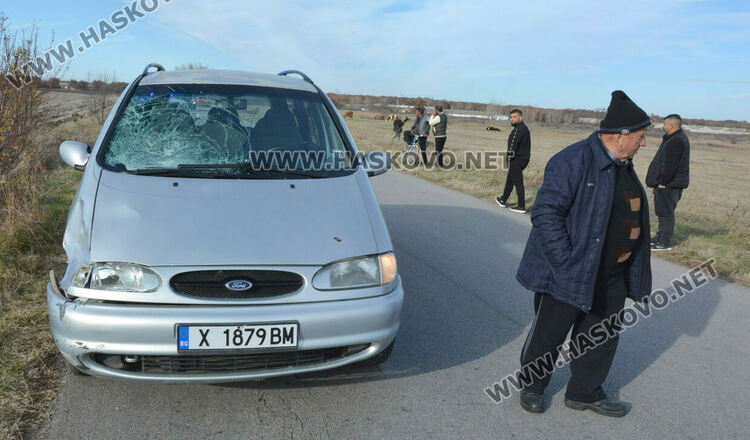 Водач блъсна и рани кон, изскочил на пътя 