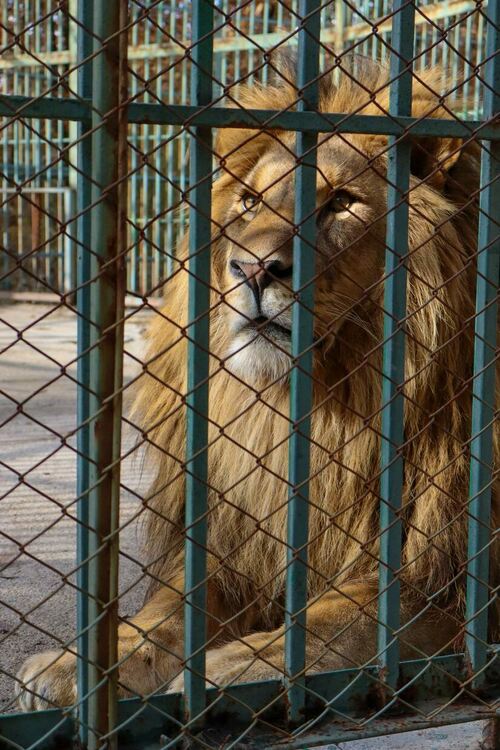 III-то място - Кристина Бангиева на 18г. , която събра 757 „харесвания“