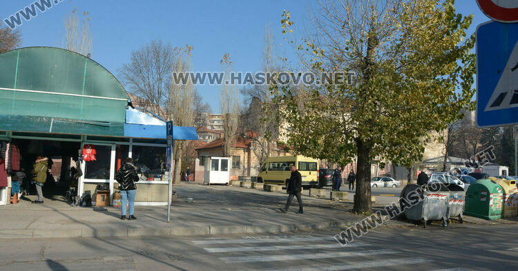 Простреляха две кучета в Хасково, едното почина