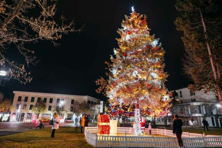 Празничната елха в Момчилград грейва на 2-ри декември