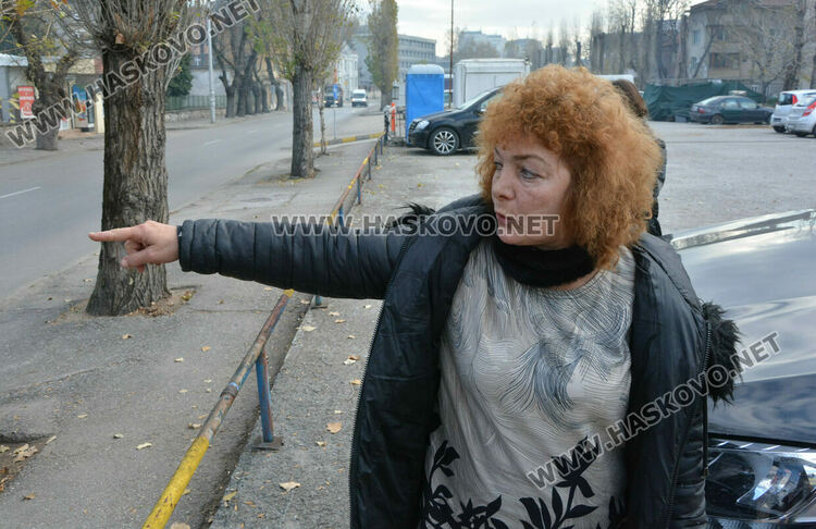 Простреляха две кучета в Хасково, едното почина