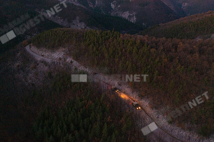 Пет зубри от Словакия пристигнаха в новия приоритетен за Фондация  „По-диви Родопи“ район - „Женда“/снимки/