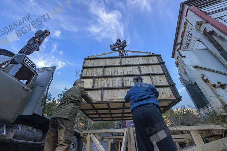 Пет зубри от Словакия пристигнаха в новия приоритетен за Фондация  „По-диви Родопи“ район - „Женда“/снимки/