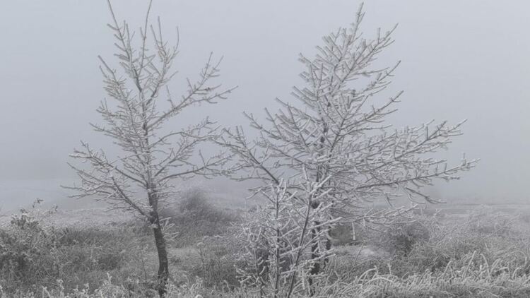 Източник: БГНЕС