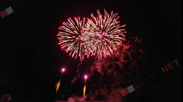 Грейнаха светлините на най-голямото живо Коледно дърво в Европа 