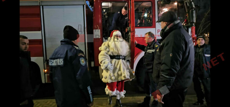 Грейнаха светлините на най-голямото живо Коледно дърво в Европа 