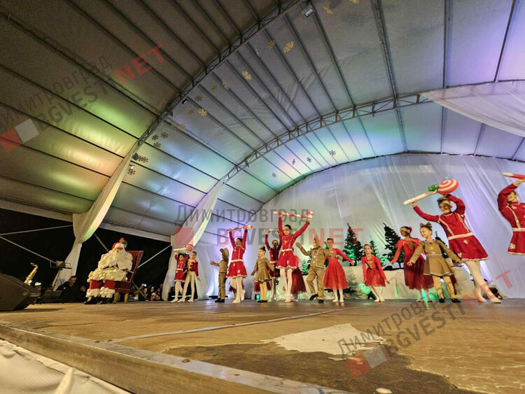 Грейнаха светлините на най-голямото живо Коледно дърво в Европа 