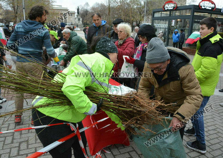 Хасковлии извиха опашка за раздаването на 20 000 дръвчета