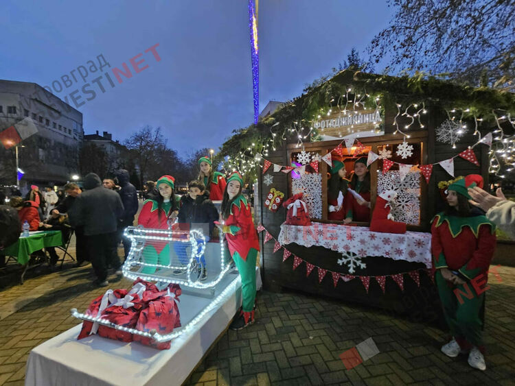 Грейнаха светлините на най-голямото живо Коледно дърво в Европа 