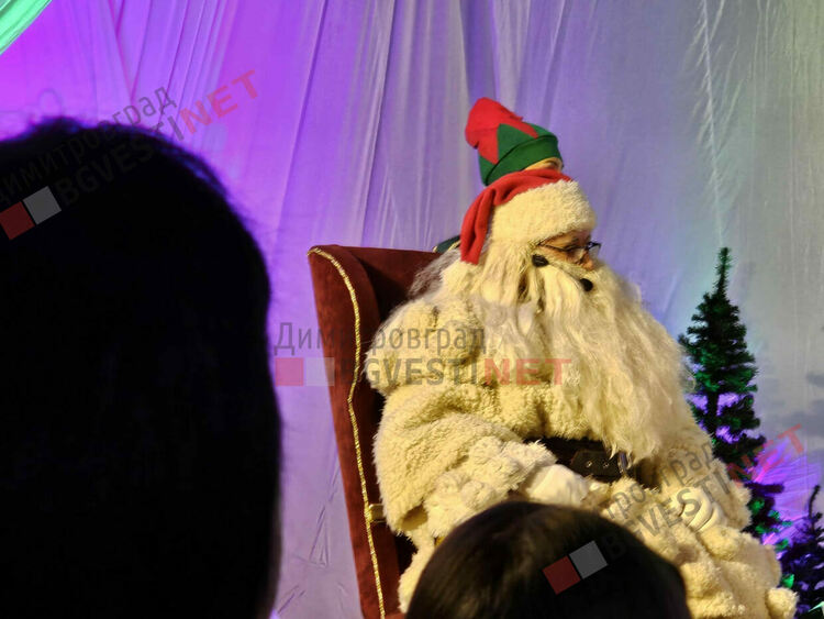 Грейнаха светлините на най-голямото живо Коледно дърво в Европа 