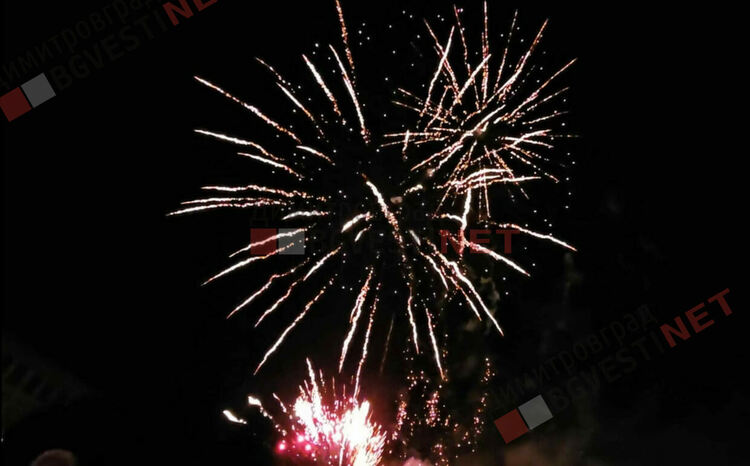 Грейнаха светлините на най-голямото живо Коледно дърво в Европа 