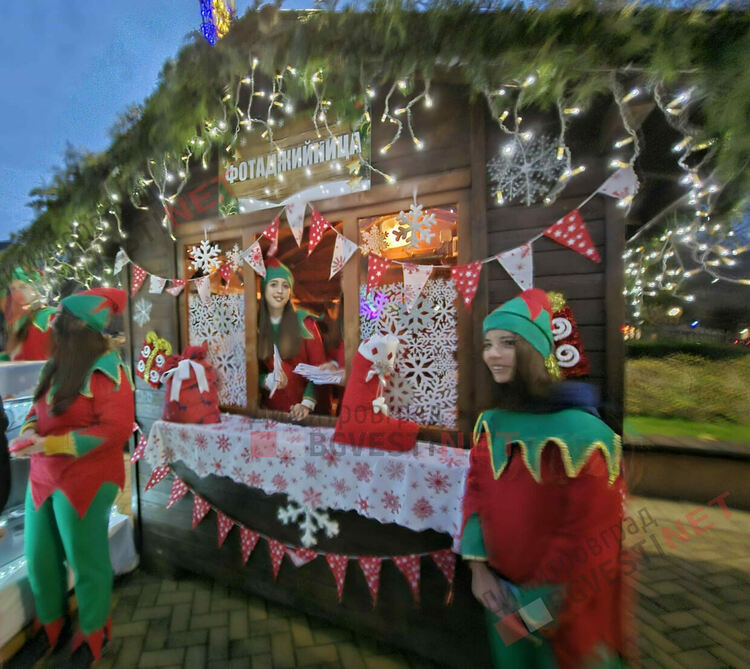 Грейнаха светлините на най-голямото живо Коледно дърво в Европа 