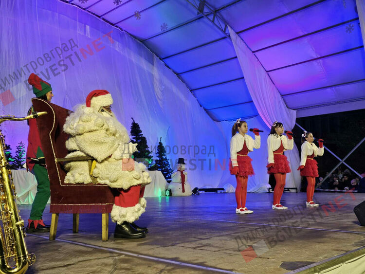 Грейнаха светлините на най-голямото живо Коледно дърво в Европа 