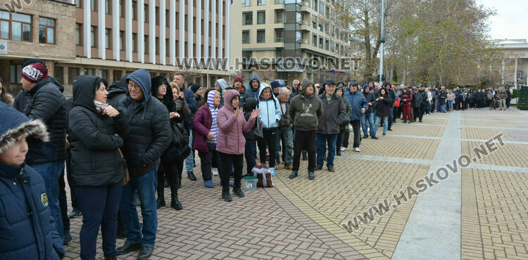 Хасковлии извиха опашка за раздаването на 20 000 дръвчета