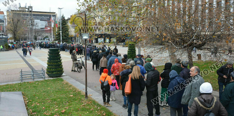 Хасковлии извиха опашка за раздаването на 20 000 дръвчета