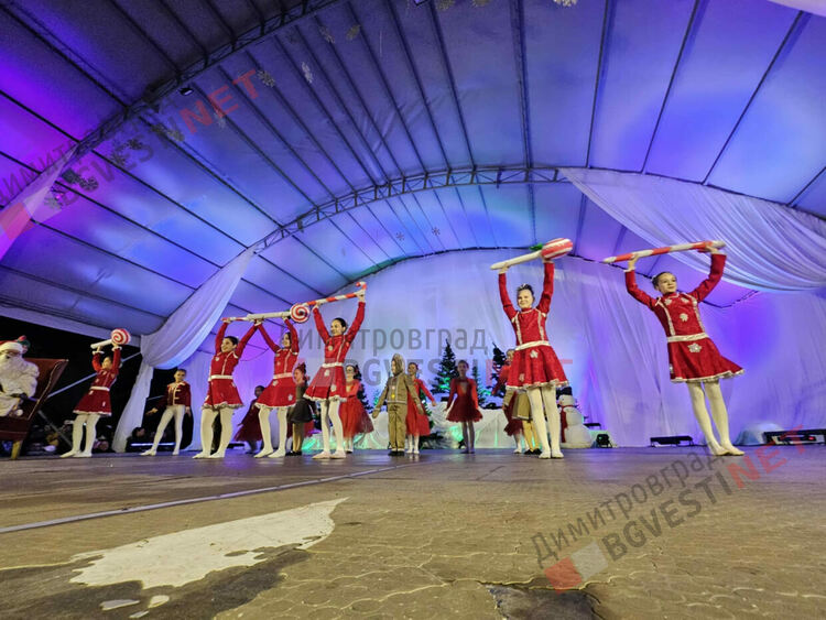 Грейнаха светлините на най-голямото живо Коледно дърво в Европа 