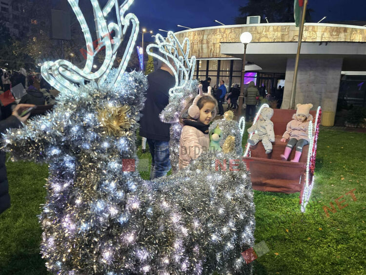 Грейнаха светлините на най-голямото живо Коледно дърво в Европа 