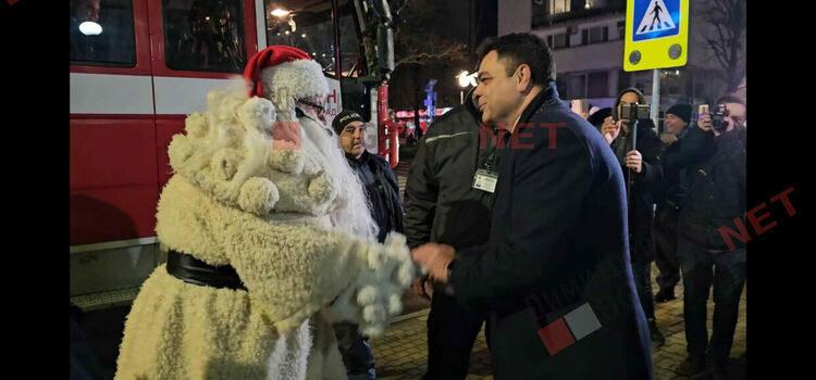 Грейнаха светлините на най-голямото живо Коледно дърво в Европа 