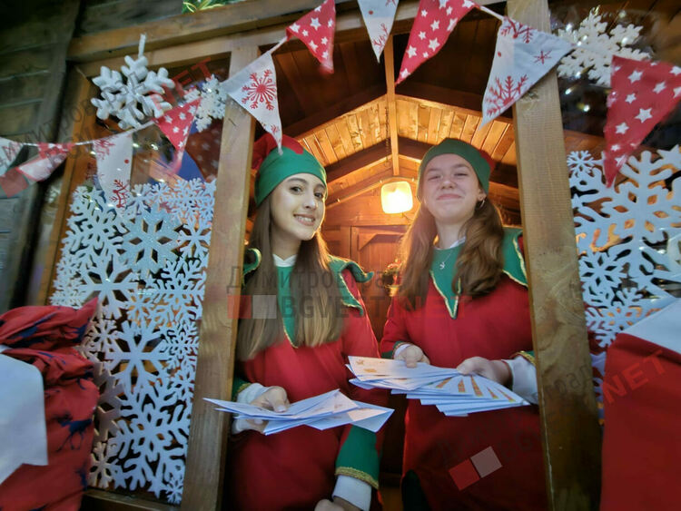 Грейнаха светлините на най-голямото живо Коледно дърво в Европа 