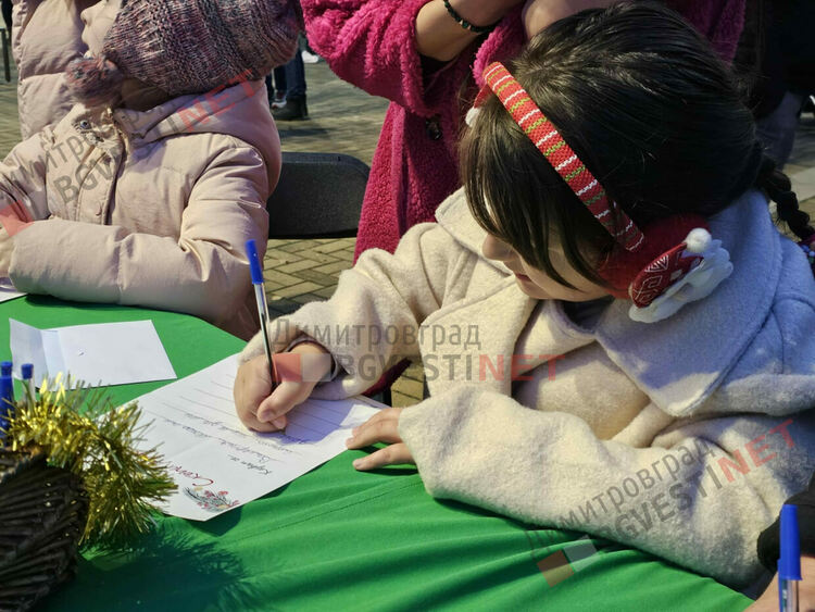 Грейнаха светлините на най-голямото живо Коледно дърво в Европа 