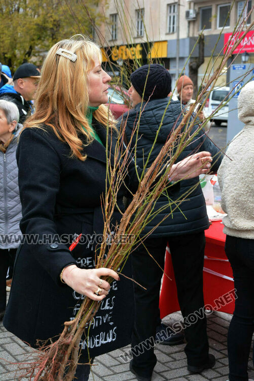 Хасковлии извиха опашка за раздаването на 20 000 дръвчета