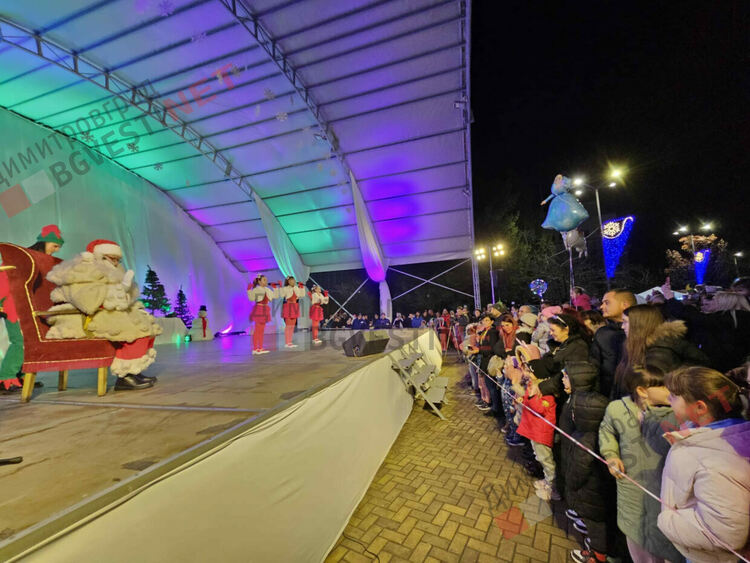 Грейнаха светлините на най-голямото живо Коледно дърво в Европа 