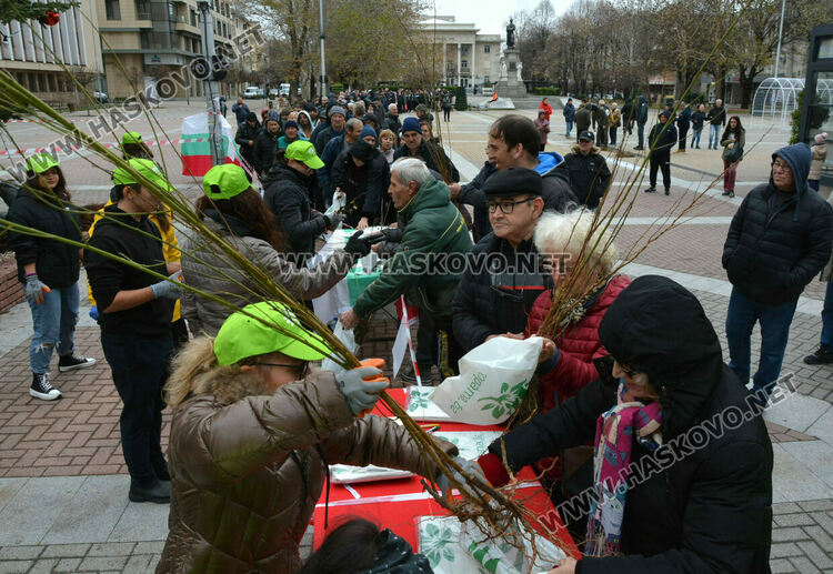 Хасковлии извиха опашка за раздаването на 20 000 дръвчета