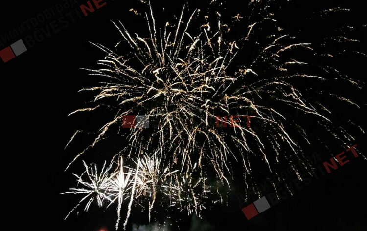 Грейнаха светлините на най-голямото живо Коледно дърво в Европа 