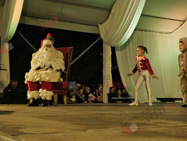 Грейнаха светлините на най-голямото живо Коледно дърво в Европа 