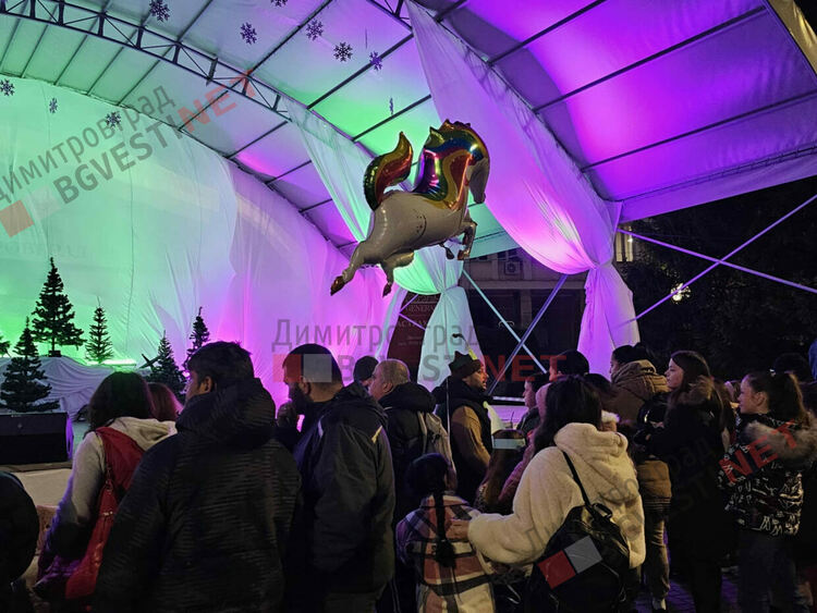 Грейнаха светлините на най-голямото живо Коледно дърво в Европа 