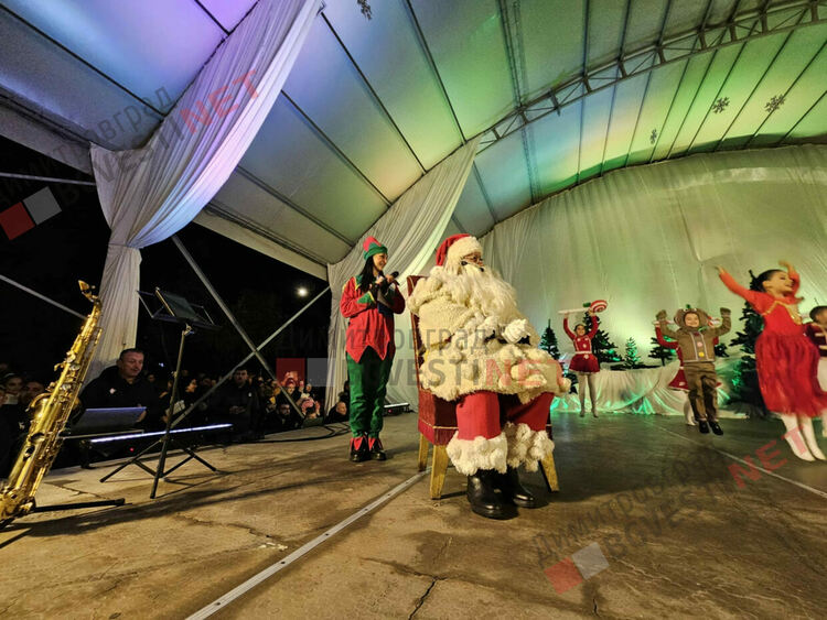 Грейнаха светлините на най-голямото живо Коледно дърво в Европа 