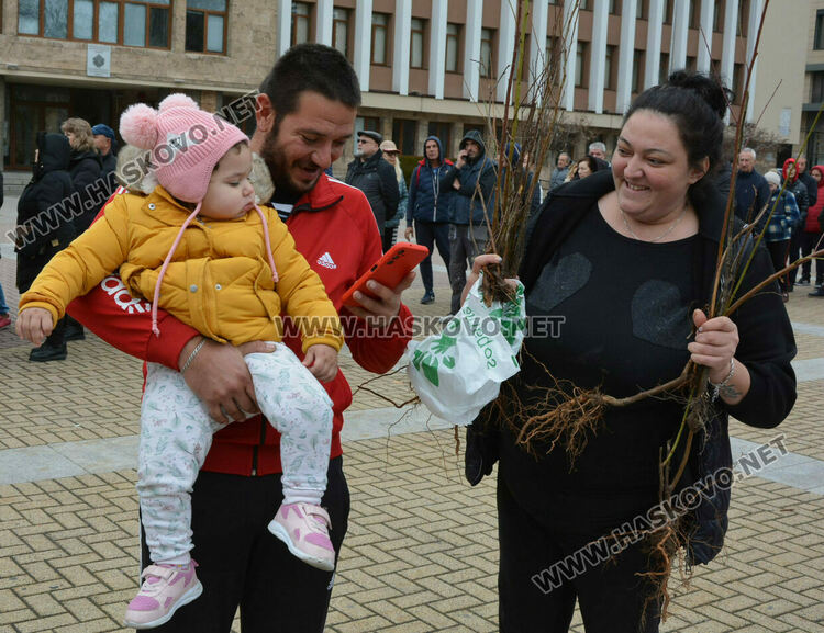 Хасковлии извиха опашка за раздаването на 20 000 дръвчета